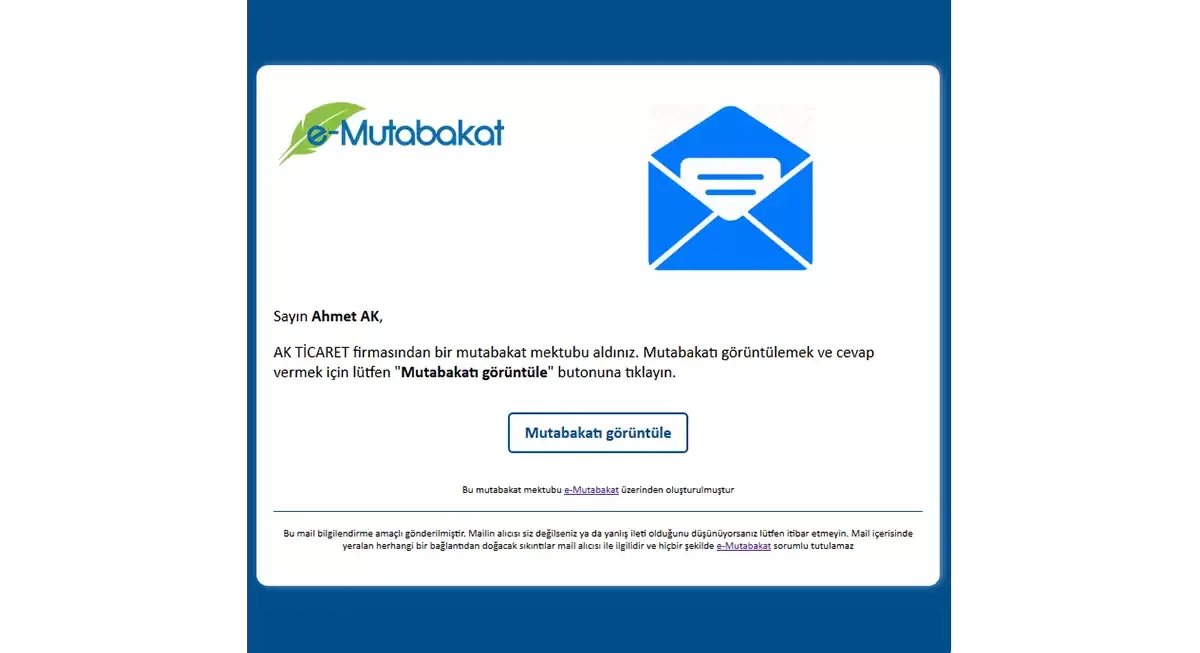 e-Mutabakat · Program görünümü 2